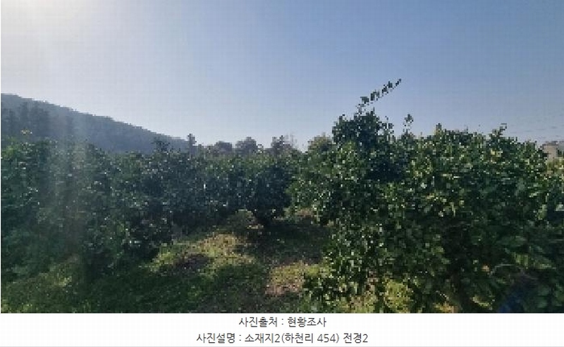 2025타경7688 제주특별자치도 서귀포시 표선면 하천리 454 과수원 경매 이미지