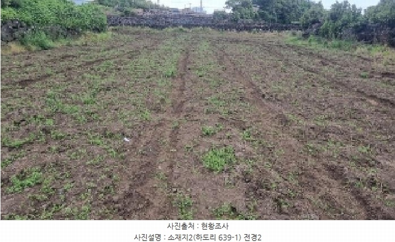 2025타경7867 제주특별자치도 제주시 구좌읍 하도리 639-1 농지 경매 이미지