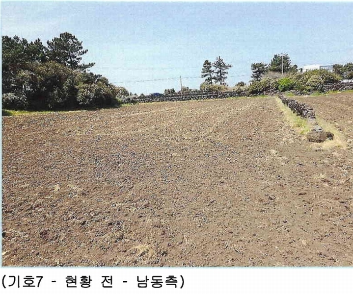 2025타경7867 제주특별자치도 제주시 구좌읍 하도리 639-1 농지 경매 이미지