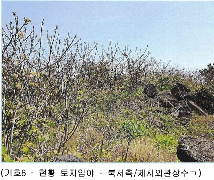 2025타경7867 제주특별자치도 제주시 구좌읍 하도리 639-1 농지 경매 이미지