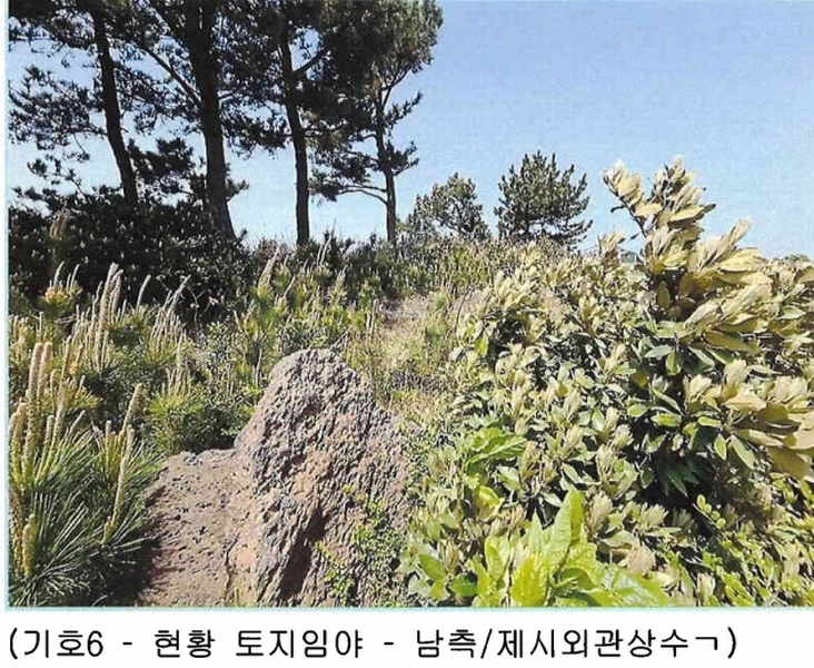 2025타경7867 제주특별자치도 제주시 구좌읍 하도리 639-1 농지 경매 이미지