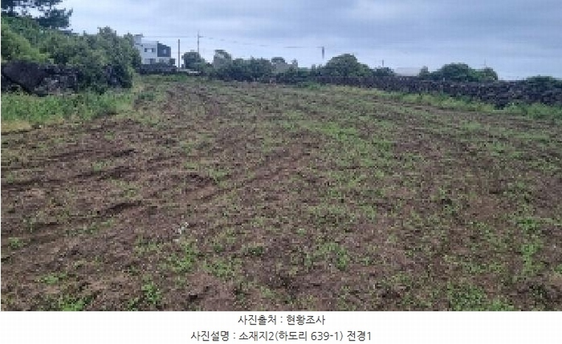 2025타경7867 제주특별자치도 제주시 구좌읍 하도리 639-1 농지 경매 이미지