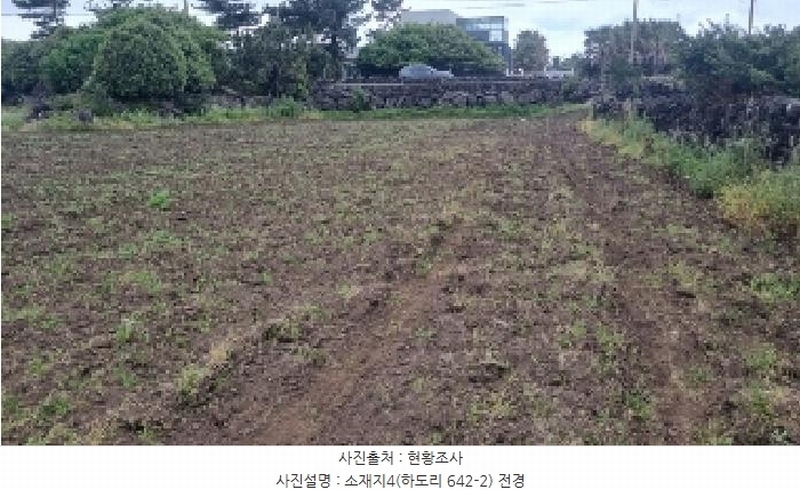 2025타경7867 제주특별자치도 제주시 구좌읍 하도리 639-1 농지 경매 이미지