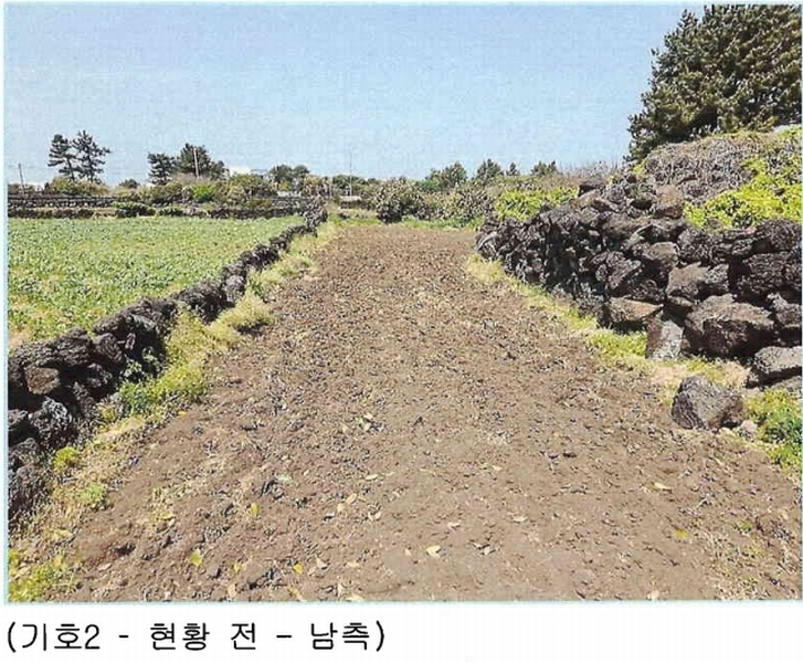 2025타경7867 제주특별자치도 제주시 구좌읍 하도리 639-1 농지 경매 이미지