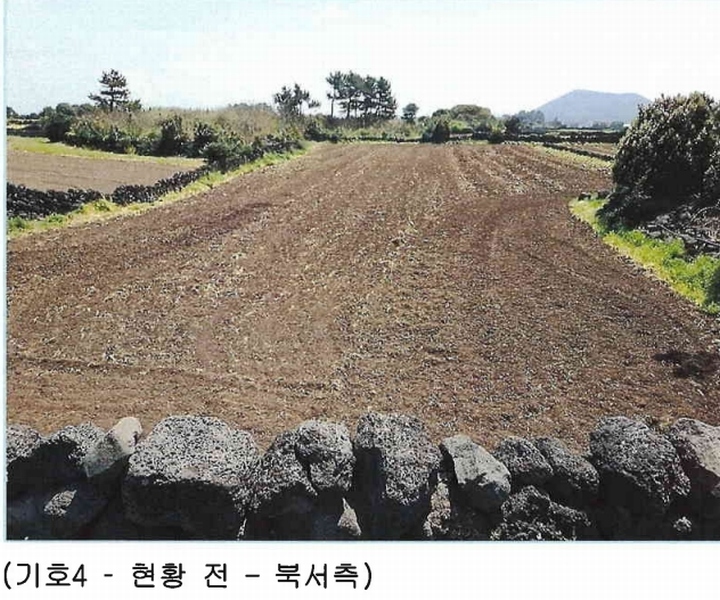 2025타경7867 제주특별자치도 제주시 구좌읍 하도리 639-1 농지 경매 이미지