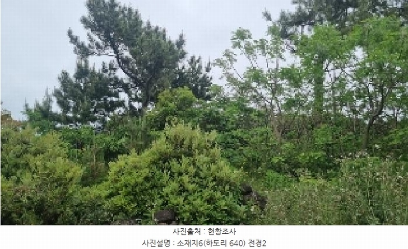 2025타경7867 제주특별자치도 제주시 구좌읍 하도리 639-1 농지 경매 이미지