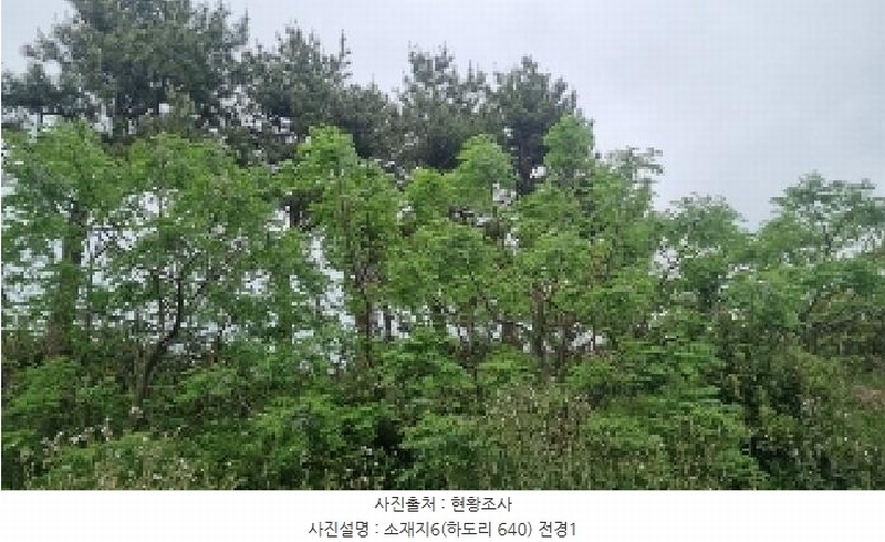 2025타경7867 제주특별자치도 제주시 구좌읍 하도리 639-1 농지 경매 이미지