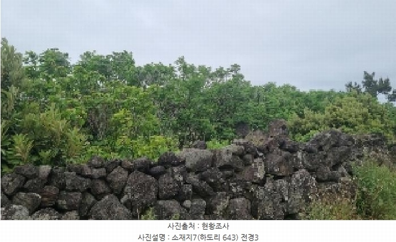 2025타경7867 제주특별자치도 제주시 구좌읍 하도리 639-1 농지 경매 이미지