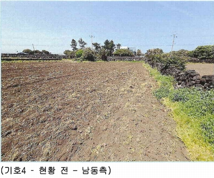 2025타경7867 제주특별자치도 제주시 구좌읍 하도리 639-1 농지 경매 이미지