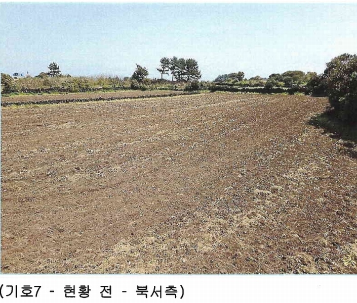 2025타경7867 제주특별자치도 제주시 구좌읍 하도리 639-1 농지 경매 이미지