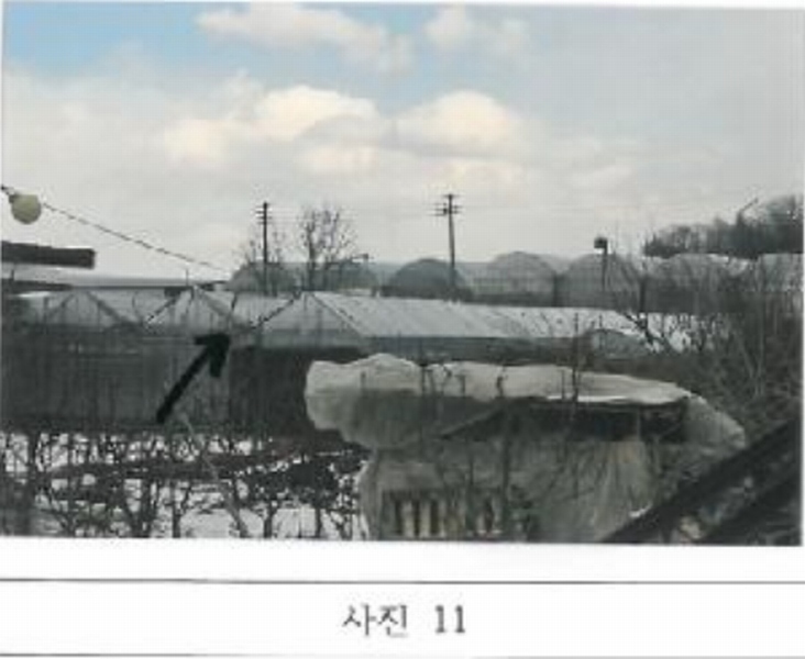 2025타경10699 경상북도 김천시 대항면 대룡리 379 농지 경매 이미지