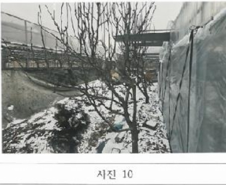 2025타경10699 경상북도 김천시 대항면 대룡리 379 농지 경매 이미지