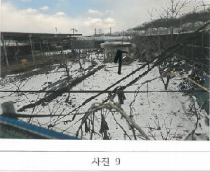 2025타경10699 경상북도 김천시 대항면 대룡리 379 농지 경매 이미지
