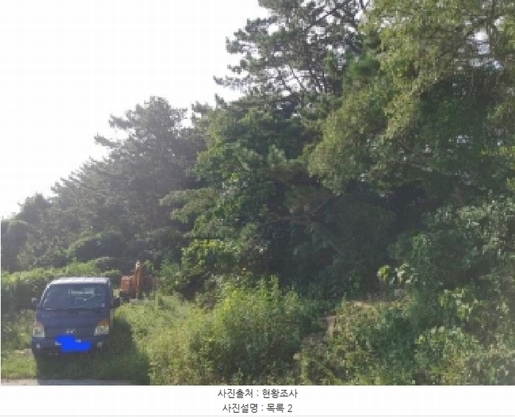 2025타경21863 경상남도 통영시 산양읍 추도리 산80 임야 경매 이미지