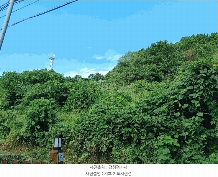 2025타경21863 경상남도 통영시 산양읍 추도리 산80 임야 경매 이미지