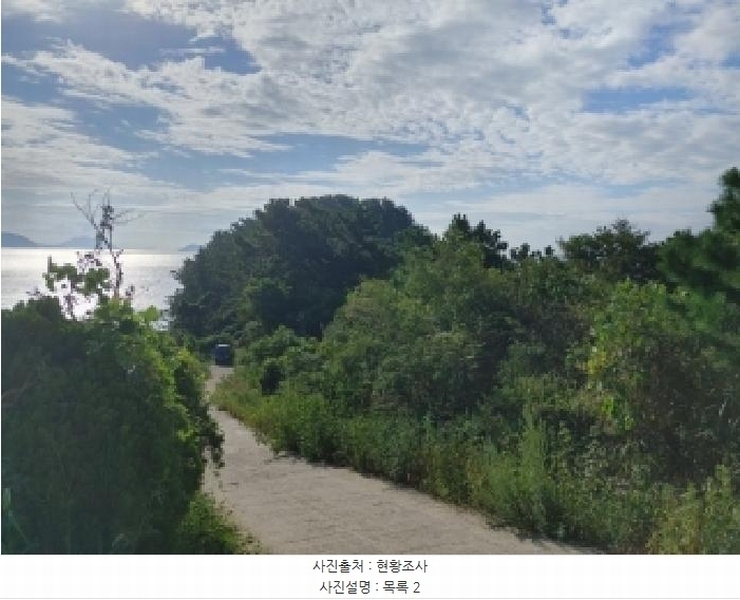 2025타경21863 경상남도 통영시 산양읍 추도리 산80 임야 경매 이미지