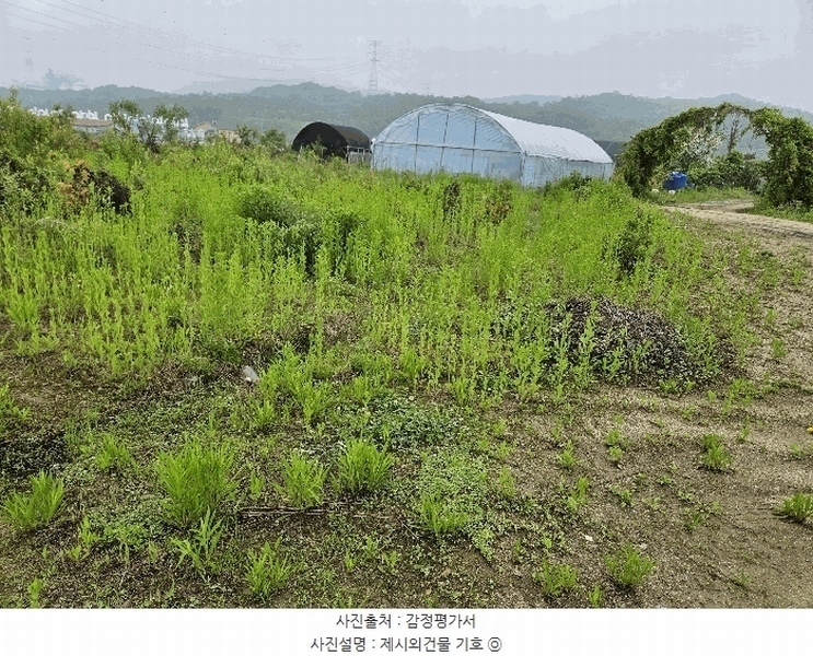 2025타경72180 경기도 포천시 신북면 만세교리 144 농지 경매 이미지