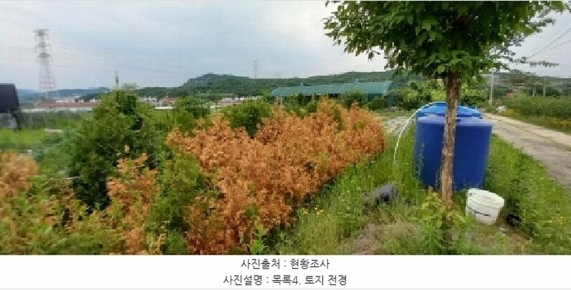 2025타경72180 경기도 포천시 신북면 만세교리 144 농지 경매 이미지