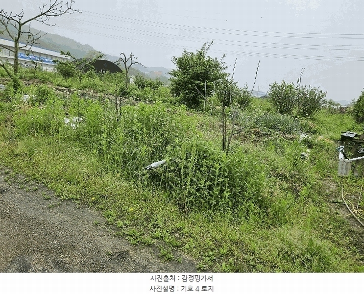 2025타경72180 경기도 포천시 신북면 만세교리 144 농지 경매 이미지