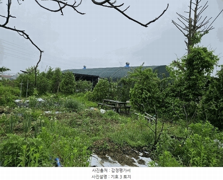 2025타경72180 경기도 포천시 신북면 만세교리 126 농지 경매 이미지