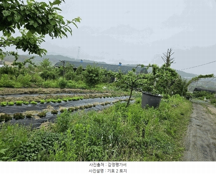 2025타경72180 경기도 포천시 신북면 만세교리 126 농지 경매 이미지