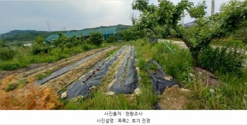 2025타경72180 경기도 포천시 신북면 만세교리 126 농지 경매 이미지