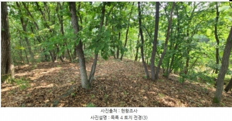 2024타경74303 경기도 파주시 군내면 읍내리 753-5 임야 경매 이미지