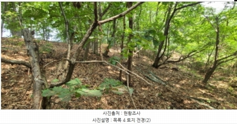 2024타경74303 경기도 파주시 군내면 읍내리 753-5 임야 경매 이미지