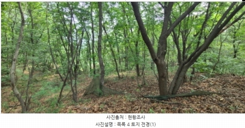 2024타경74303 경기도 파주시 군내면 읍내리 753-5 임야 경매 이미지