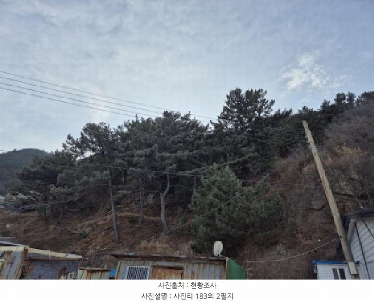 2025타경10169 경상북도 영덕군 영해면 사진리 183 농지 경매 이미지