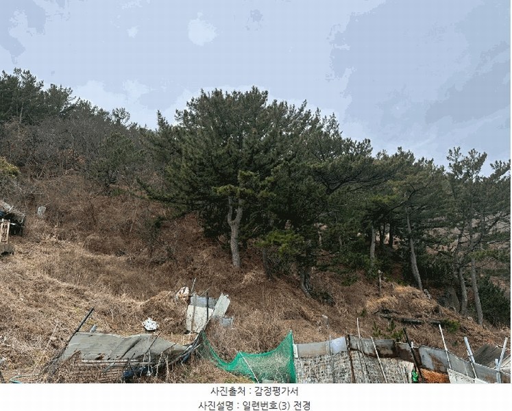 2025타경10169 경상북도 영덕군 영해면 사진리 183 농지 경매 이미지