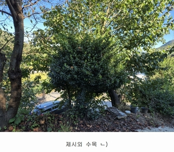 2024타경34855 충청북도 충주시 대소원면 매현리 406-1 주택 경매 이미지