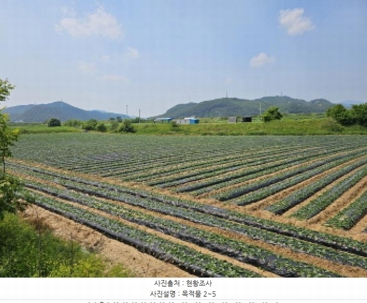 2025타경1098 충청북도 충주시 중앙탑면 가흥리 744 농지 경매 이미지