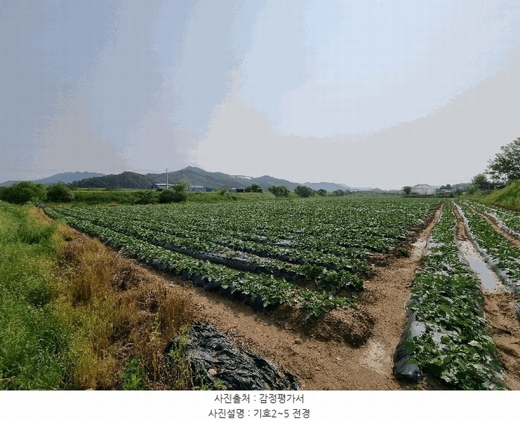 2025타경1098 충청북도 충주시 중앙탑면 가흥리 744 농지 경매 이미지