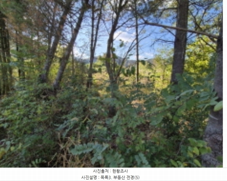 2024타경39484 전북특별자치도 완주군 운주면 장선리 108-1 농지 경매 이미지