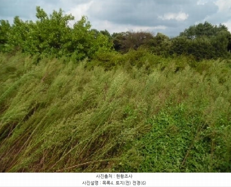 2025타경31672 전북특별자치도 김제시 공덕면 황산리 927-12 농지 경매 이미지