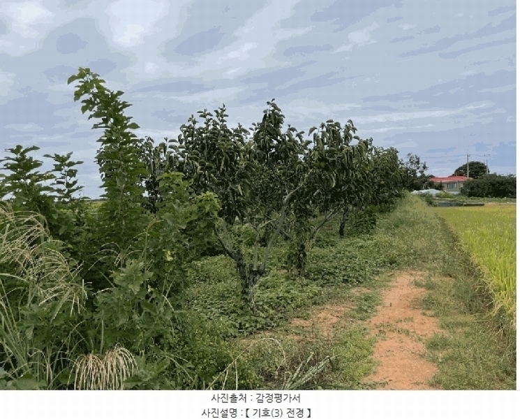 2025타경31672 전북특별자치도 김제시 공덕면 황산리 462 농지 경매 이미지