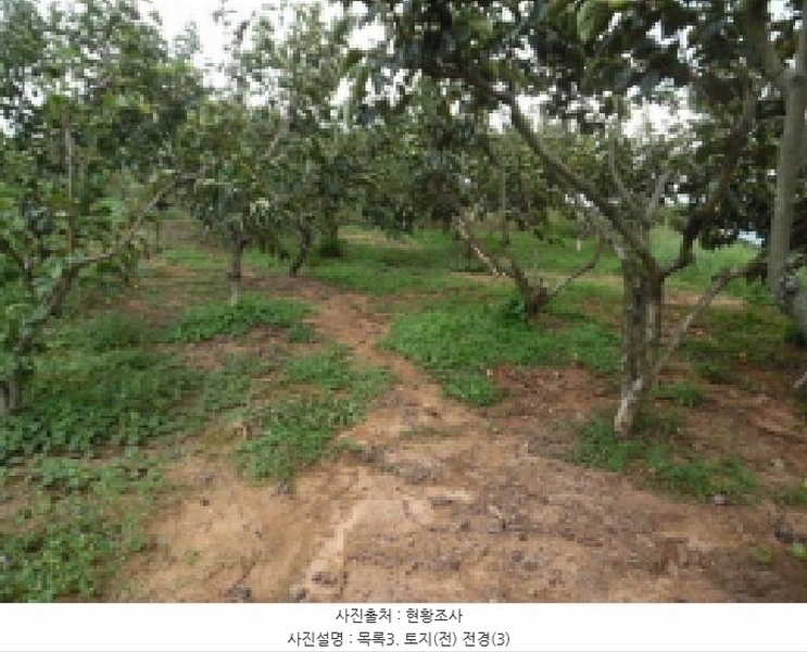 2025타경31672 전북특별자치도 김제시 공덕면 황산리 462 농지 경매 이미지