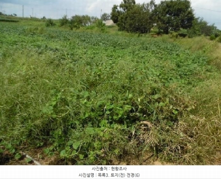 2025타경31672 전북특별자치도 김제시 공덕면 황산리 462 농지 경매 이미지