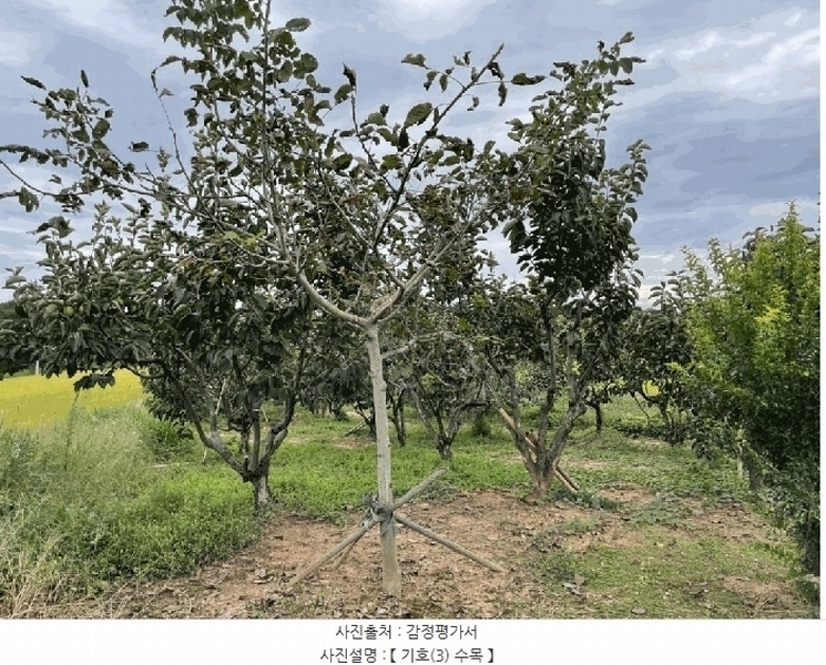 2025타경31672 전북특별자치도 김제시 공덕면 황산리 462 농지 경매 이미지