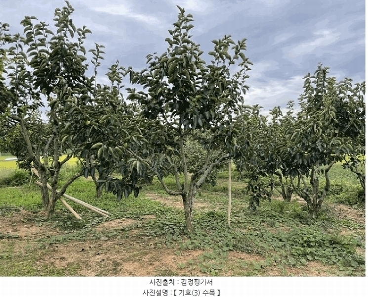 2025타경31672 전북특별자치도 김제시 공덕면 황산리 462 농지 경매 이미지