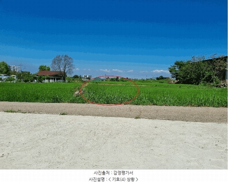 2025타경42353 경기도 평택시 현덕면 인광리 279 농지 경매 이미지