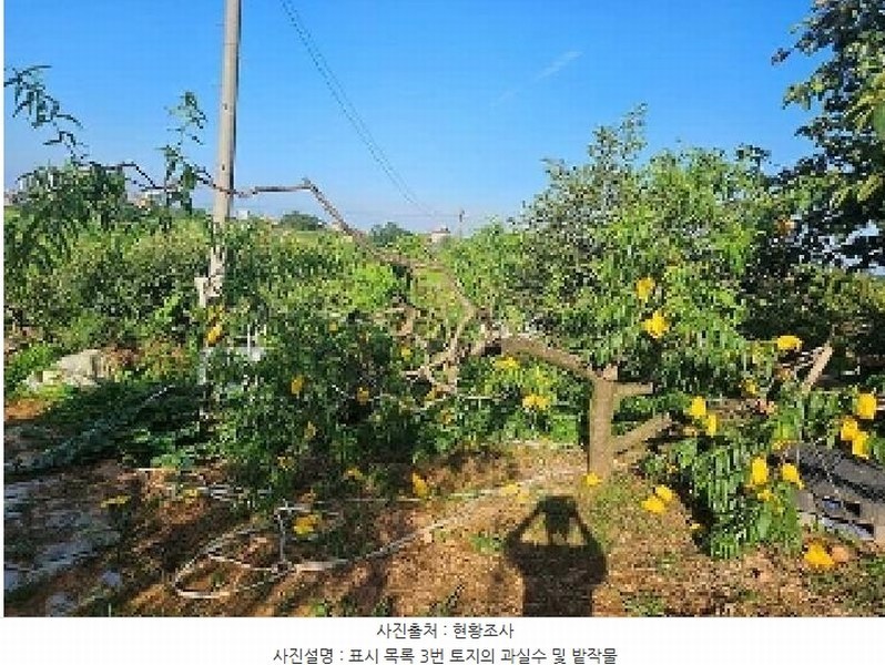 2025타경42353 경기도 평택시 현덕면 도대리 172-6 농지 경매 이미지