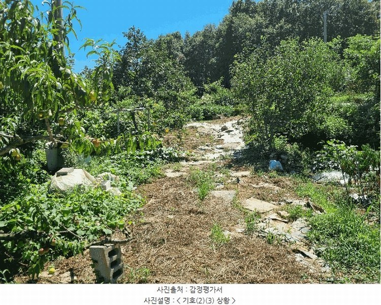 2025타경42353 경기도 평택시 현덕면 도대리 172-6 농지 경매 이미지