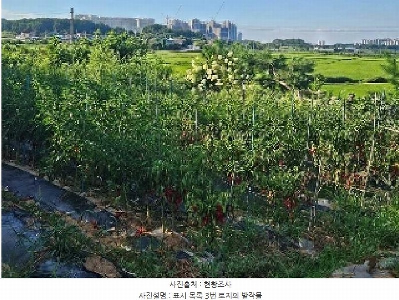 2025타경42353 경기도 평택시 현덕면 도대리 172-6 농지 경매 이미지