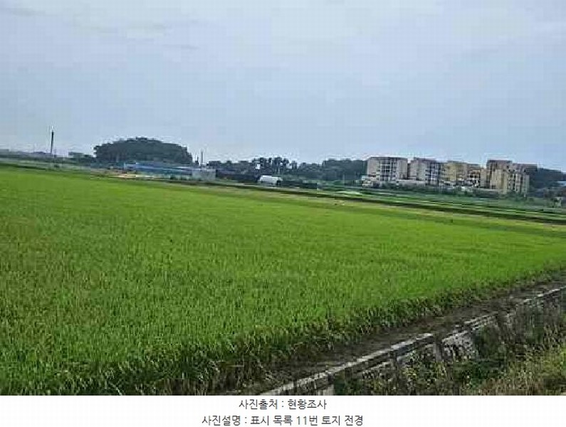 2025타경42503 경기도 평택시 팽성읍 석봉리 219-2 농지 경매 이미지