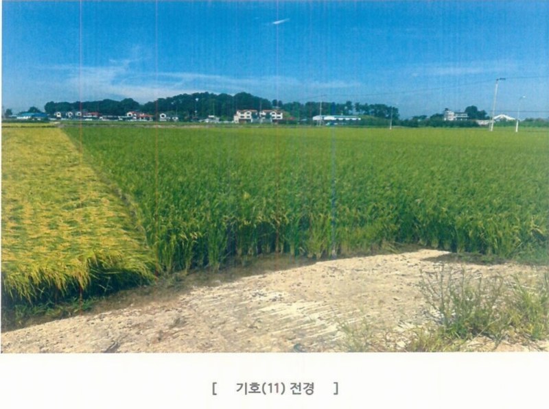 2025타경42503 경기도 평택시 팽성읍 석봉리 219-2 농지 경매 이미지
