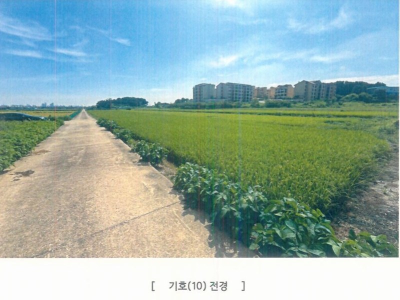 2025타경42503 경기도 평택시 팽성읍 석봉리 73-6 농지 경매 이미지