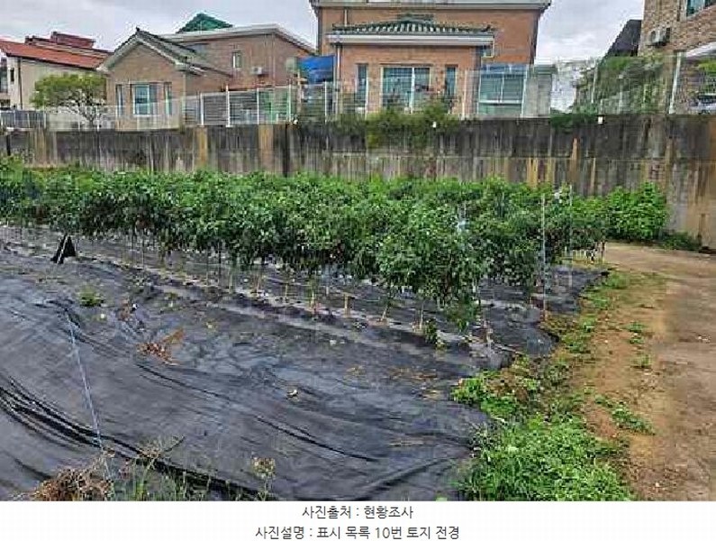 2025타경42503 경기도 평택시 팽성읍 석봉리 73-6 농지 경매 이미지
