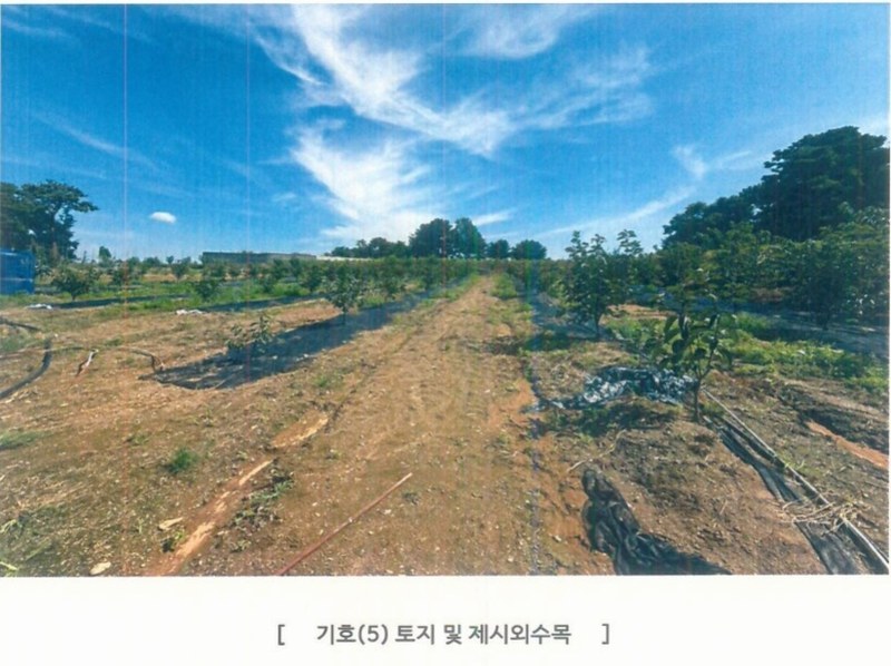 2025타경42503 경기도 평택시 팽성읍 석봉리 148 농지 경매 이미지